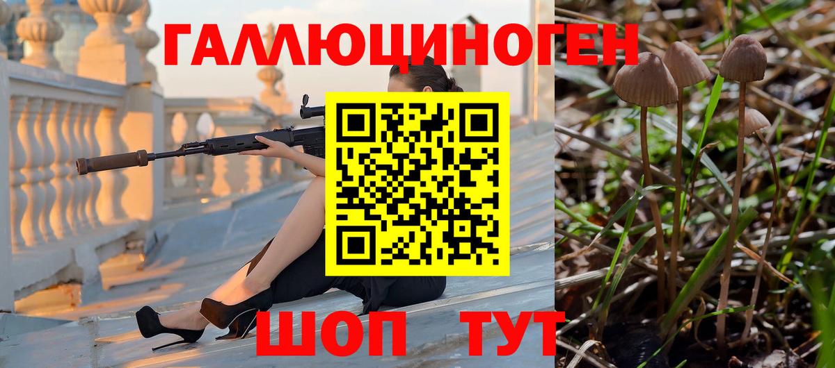 Крымск  Псилоцибиновые грибы ЛСД  Вход с VPN 